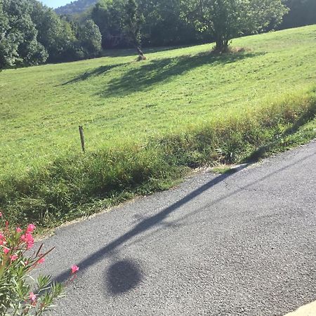 Saint-CerguesA Cote De Geneve 2公寓 外观 照片