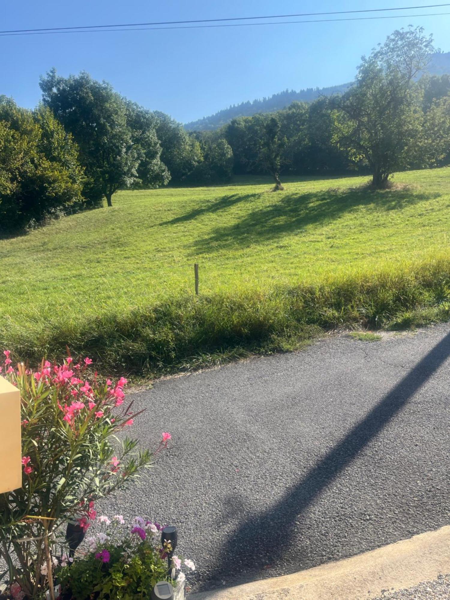 Saint-CerguesA Cote De Geneve 2公寓 外观 照片